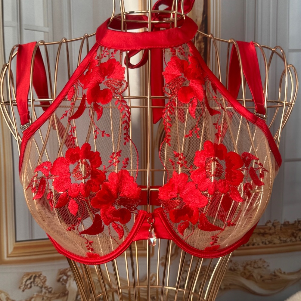 Honey Birdette Belle Red Bra 36C